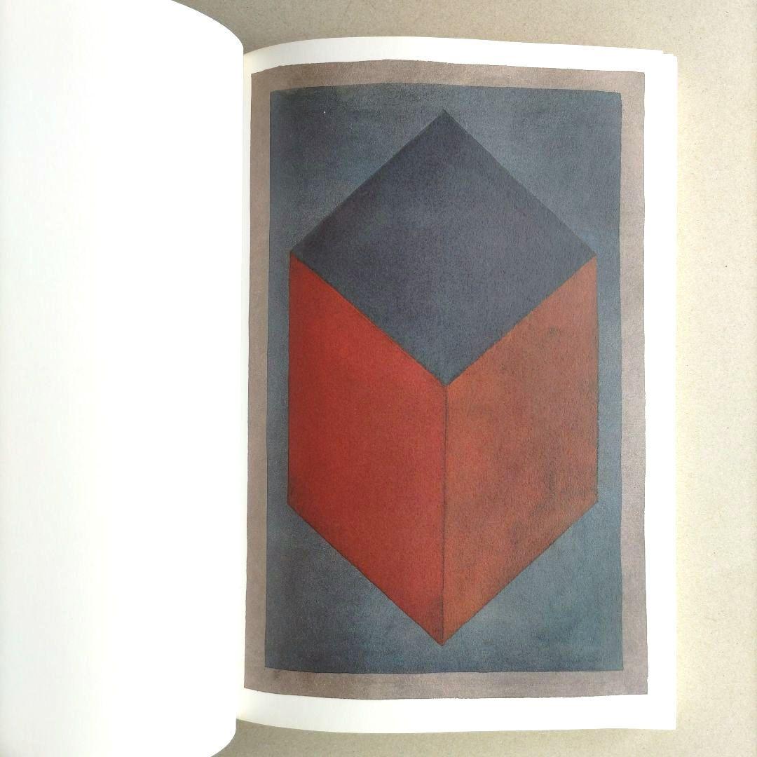 SOL LEWITT:100 CUBES/ソル・ルウィット 作品集 アート