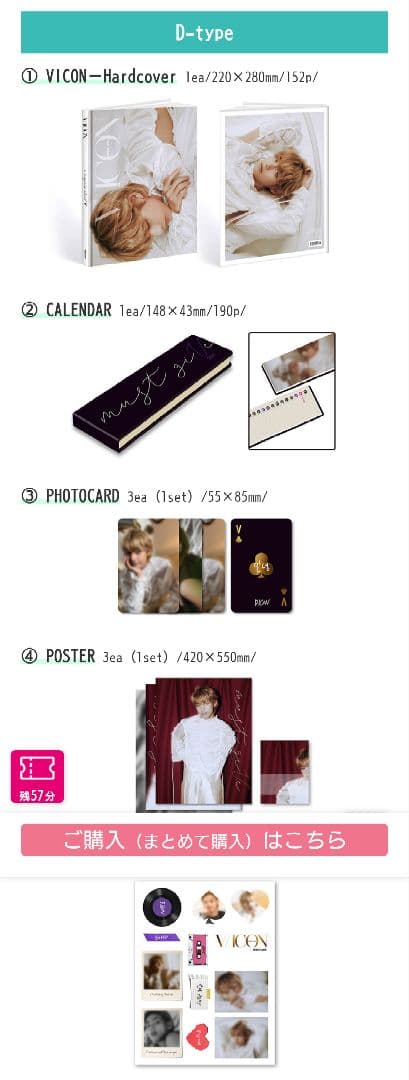 DICON V/ICON ISSUE N°16 V: D type 未開封