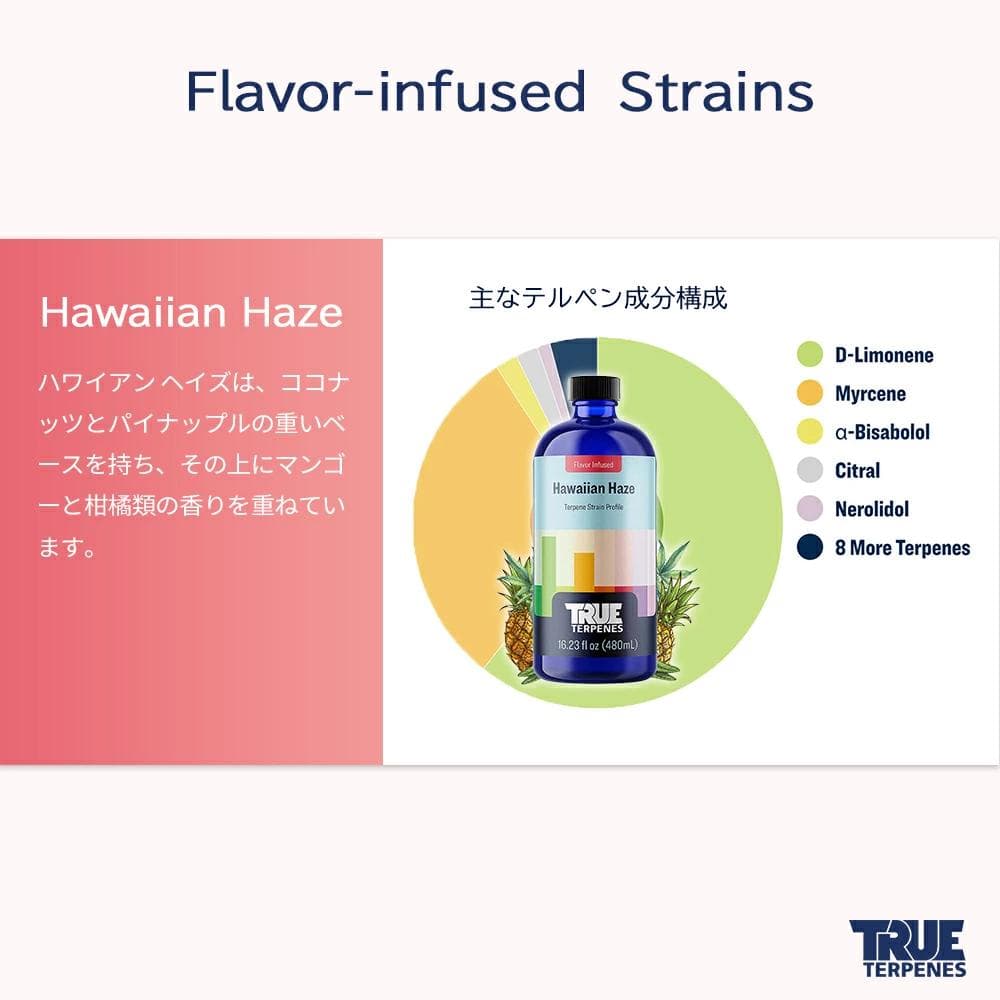 TRUE テルペン 510 CBD CBN CBG 10ml ハワイアンヘイズ