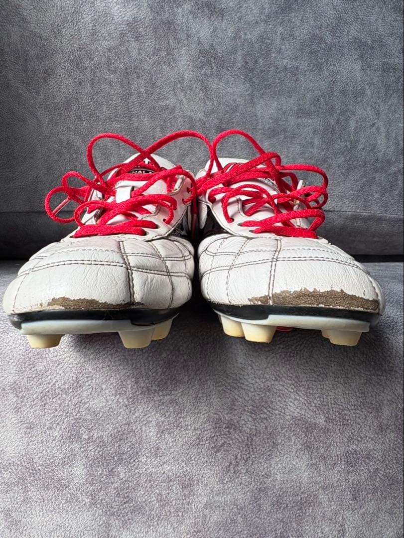 Mizuno Morelia モレリアネオ2Japan クロスステッチ26cm