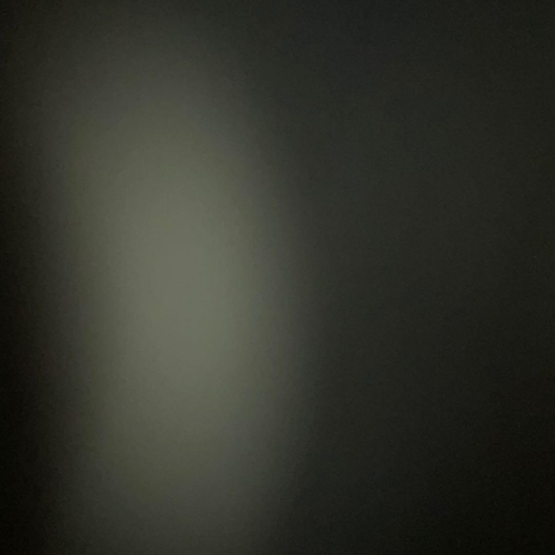 SILK THE RICH トリートメント 250mL