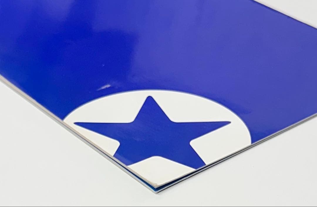 李相日 初監督作品 映画【青〜chong〜】パンフレット／眞島秀和、山本隆司