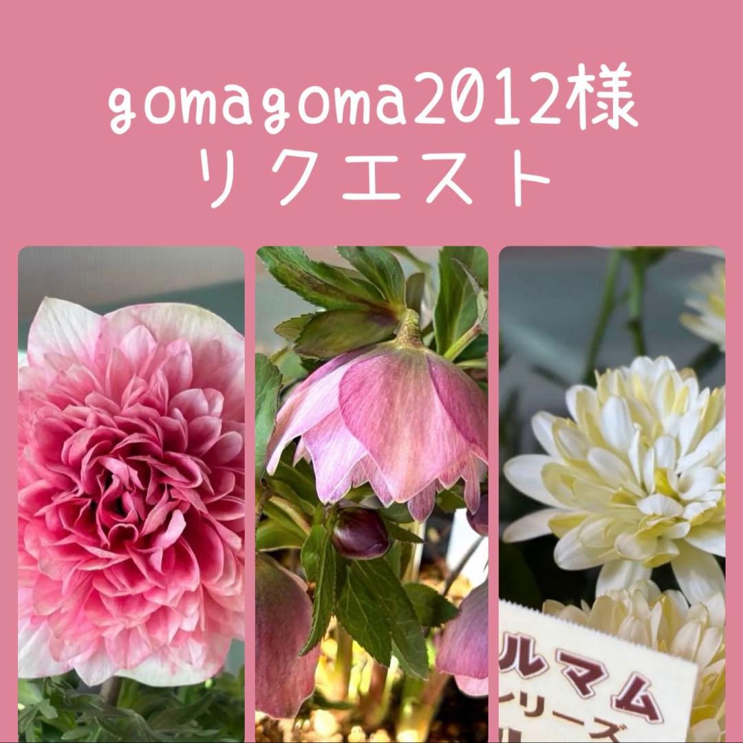 gomagoma2012様　リクエスト　おまとめ3点