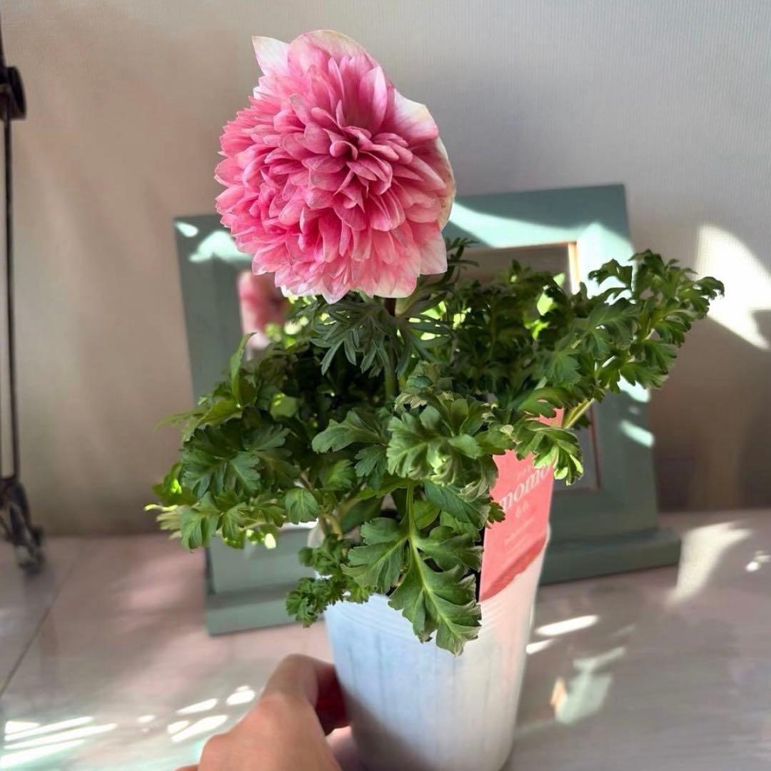 gomagoma2012様　リクエスト　おまとめ3点