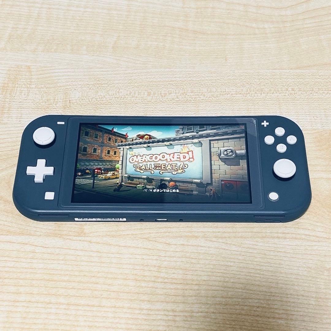 Nintendo Switch Lite本体＋あつまれどうぶつの森+ケース