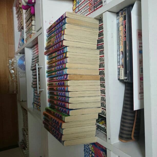 上からの犬夜叉