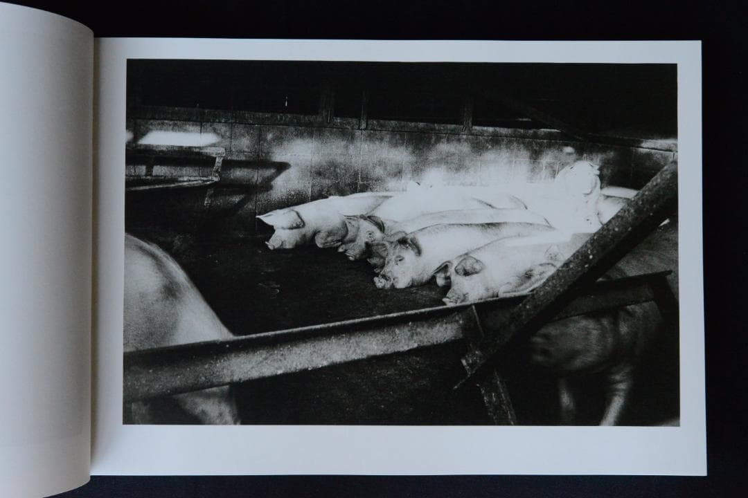 【猪瀬光全作品】猪瀬光　新品・未読品・美本　サイン入り