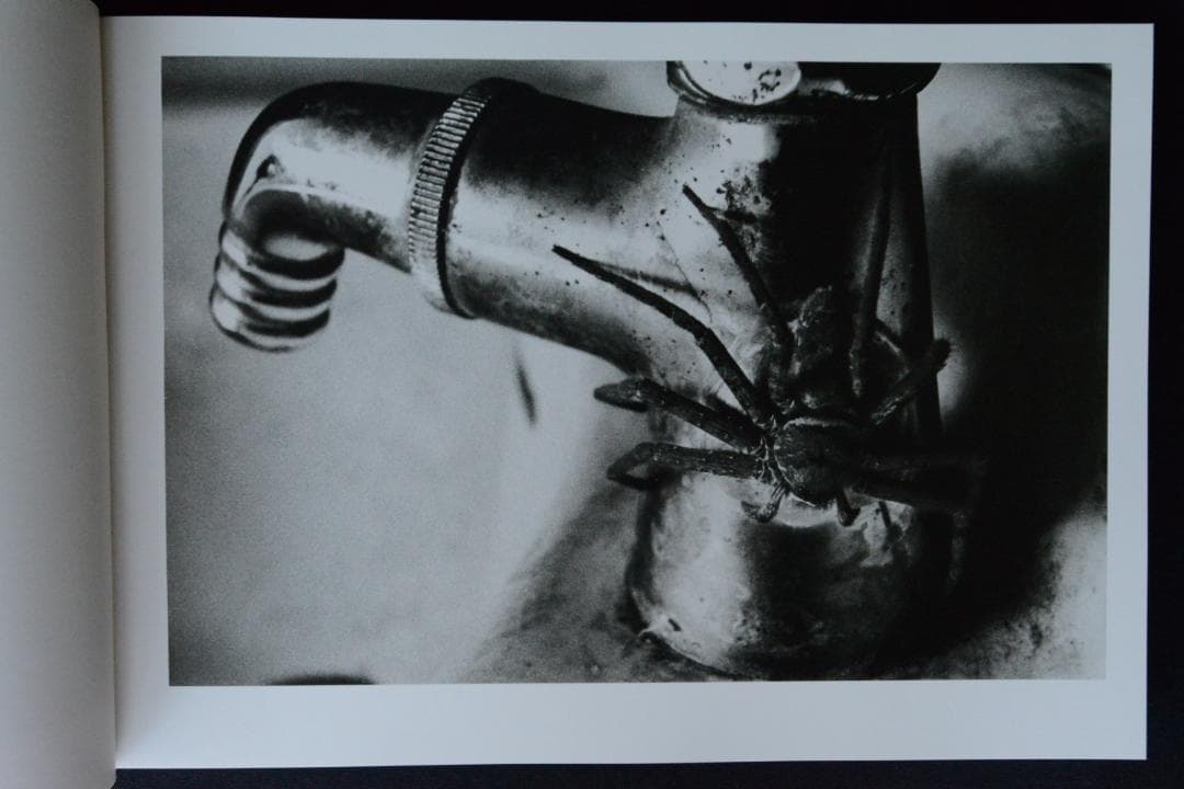 【猪瀬光全作品】猪瀬光　新品・未読品・美本　サイン入り