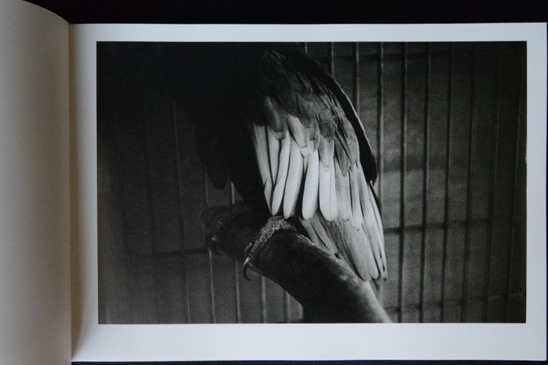 【猪瀬光全作品】猪瀬光　新品・未読品・美本　サイン入り