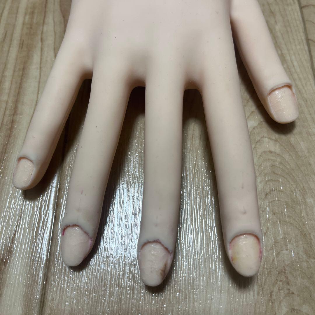 【練習ハンド付き】ネイリスト技能検定試験用JNEC認定モデルハンドセット