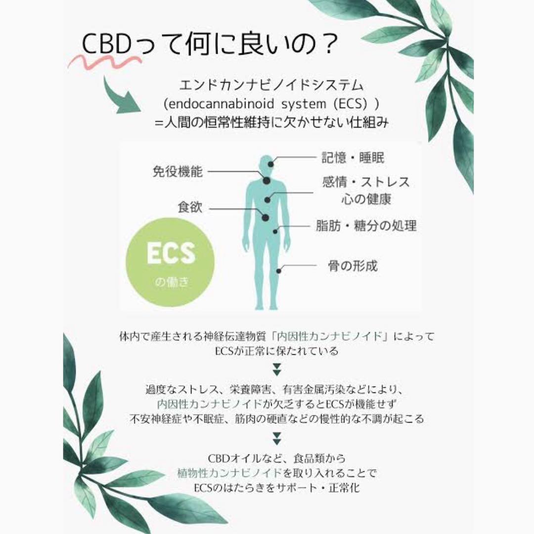 まさまさ ペンセット THXPリキッド 1ml 【強体感】CBD CBN