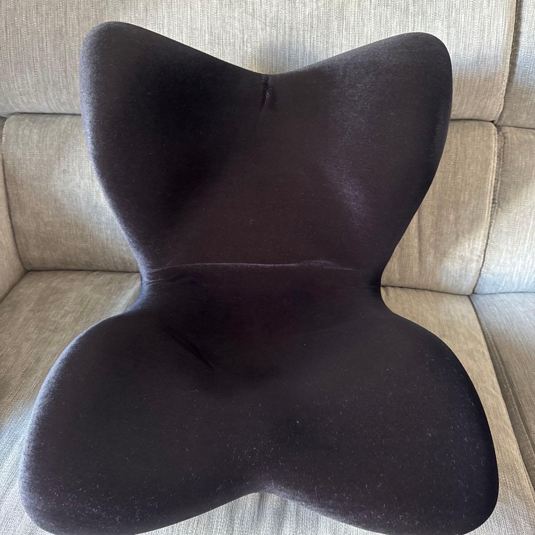 Style premium DX 骨盤・姿勢矯正クッション 黒 蝶型