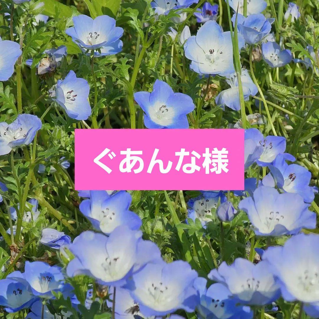 【特価】【正規品】電気バリブラシ　ELECTRIC BARI BRUSH