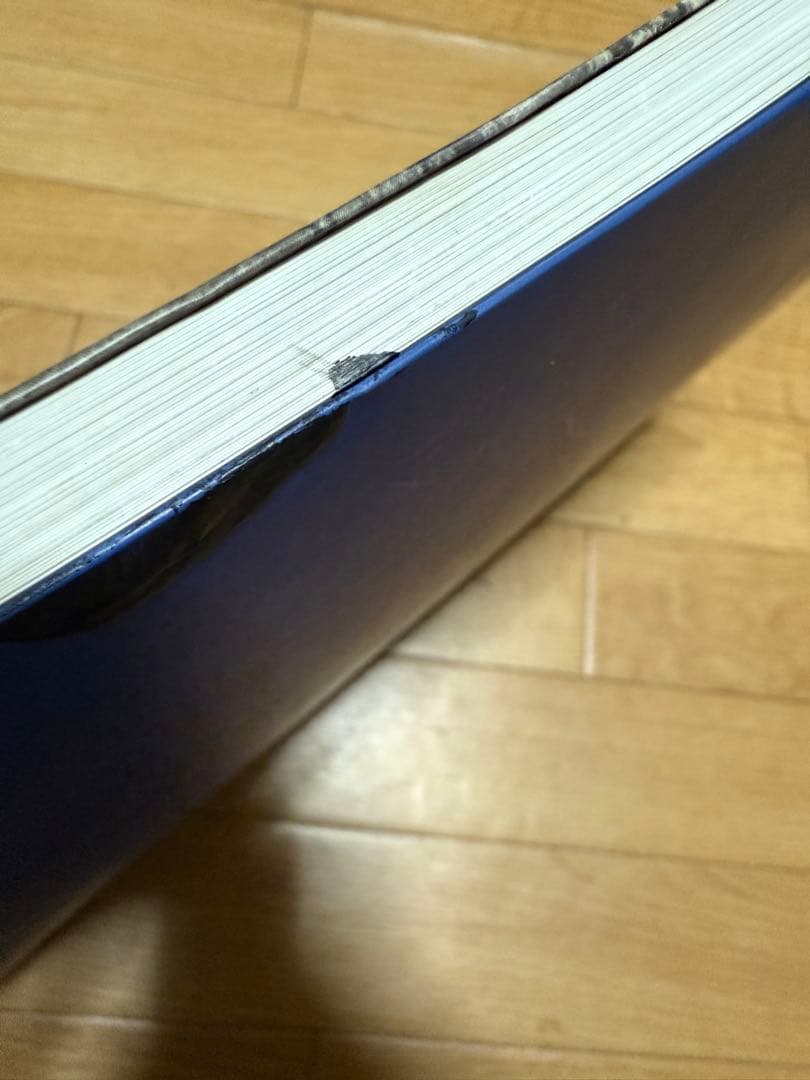 STRAIGHT BOYS 洋書