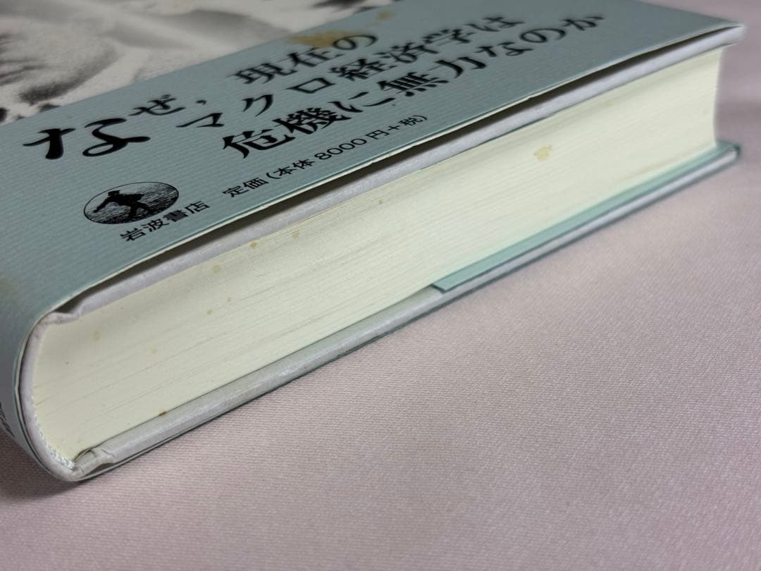 マクロ経済学の再構築　ケインズとシュンペーター 吉川洋／著 岩波書店