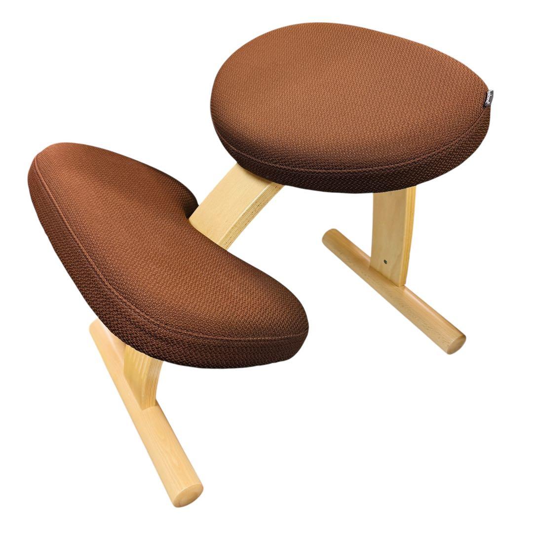 ✨最新モデル✨ バランスイージー バランスラボ バランスチェア ブラウン　カバー