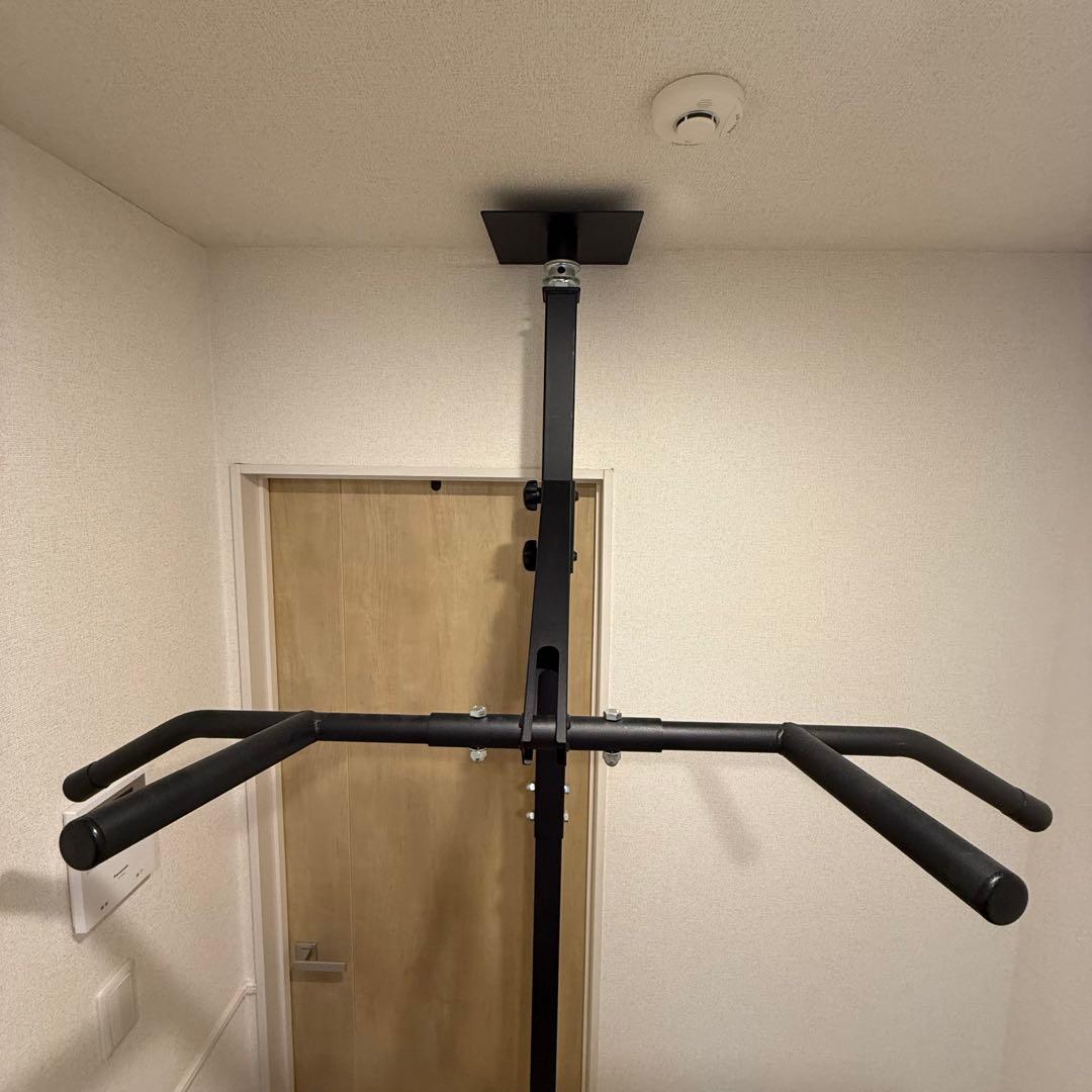 KENSUI kaku TEDDY WORKS 懸垂 筋トレ