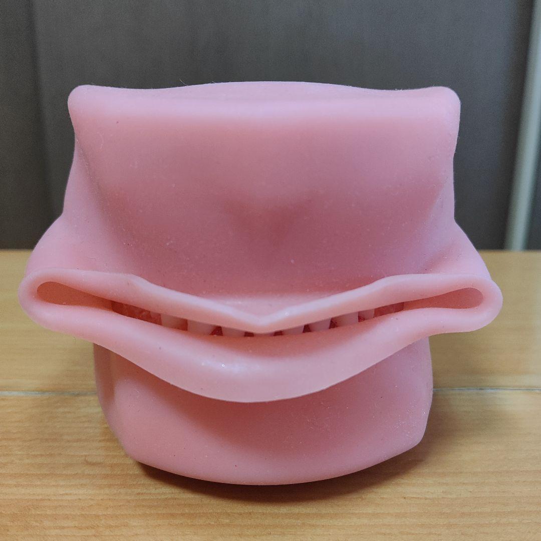 歯の模型/歯科衛生士