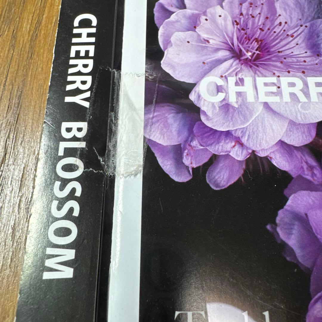 ToshI CHERRY BLOSSOM 邦楽 CD