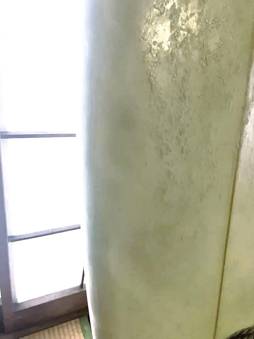 bredren サーフボード　ブレジンサーフボード　 5.5