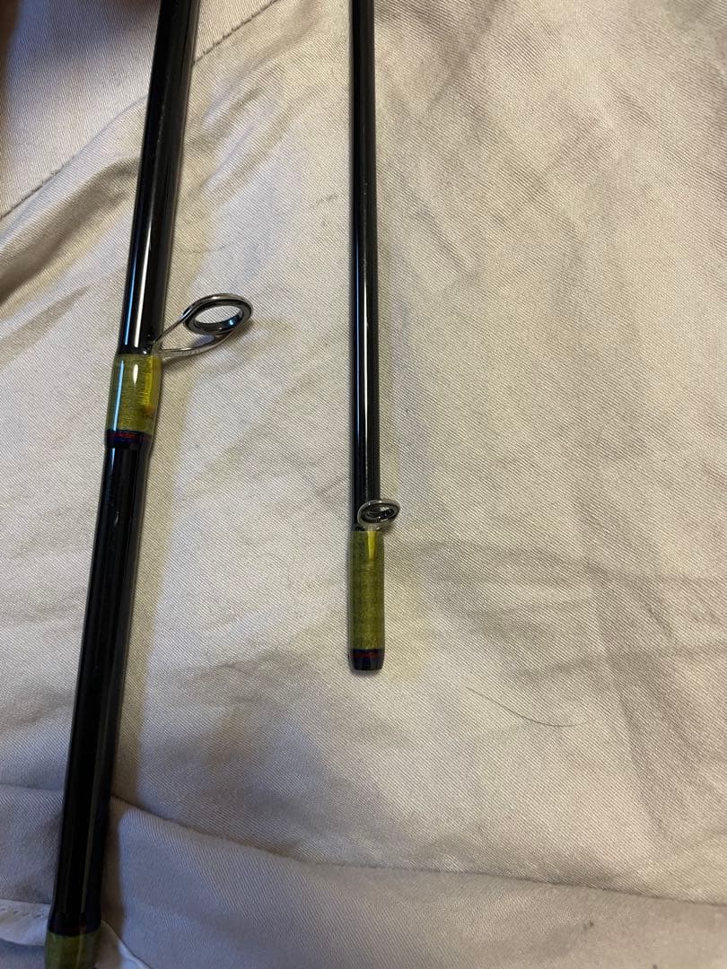 フィンチ　カナリア　95M