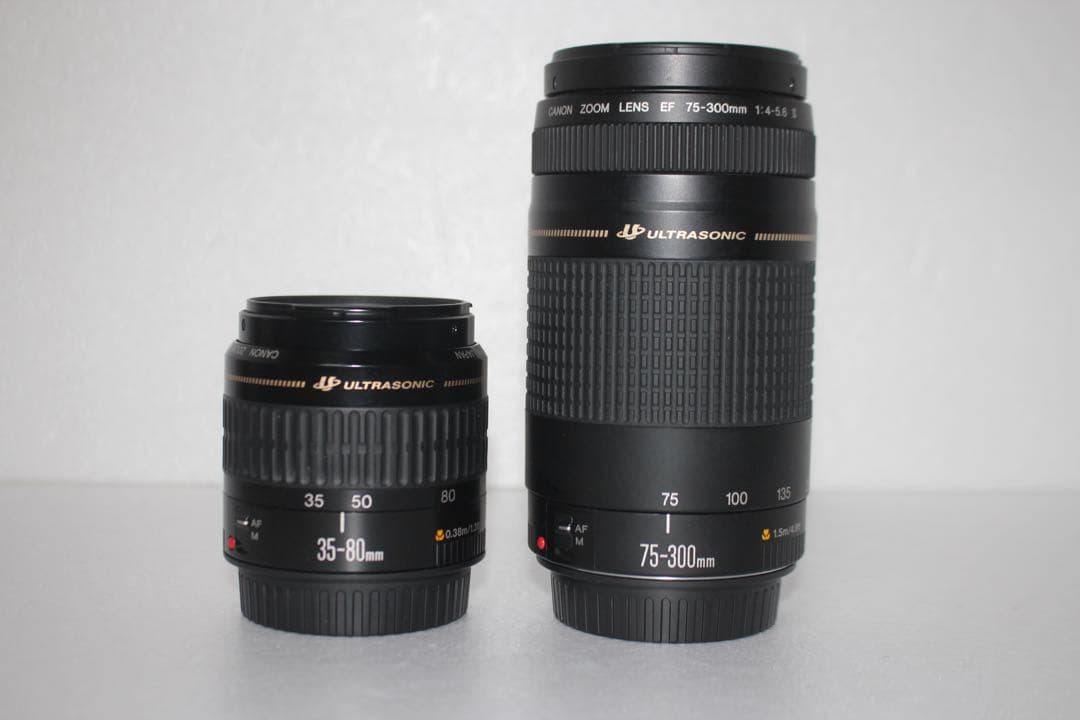 一眼レフカメラ　Canon EOS 90D標準&望遠ダブルレンズセット