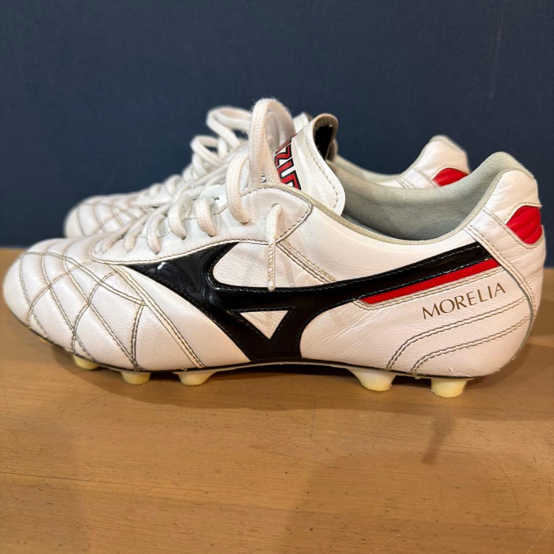 モレリア２　２４センチ