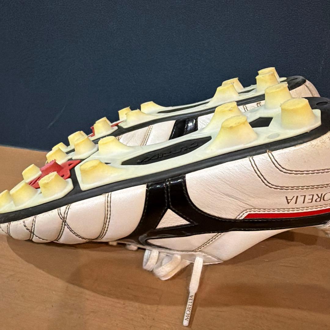 モレリア２　２４センチ