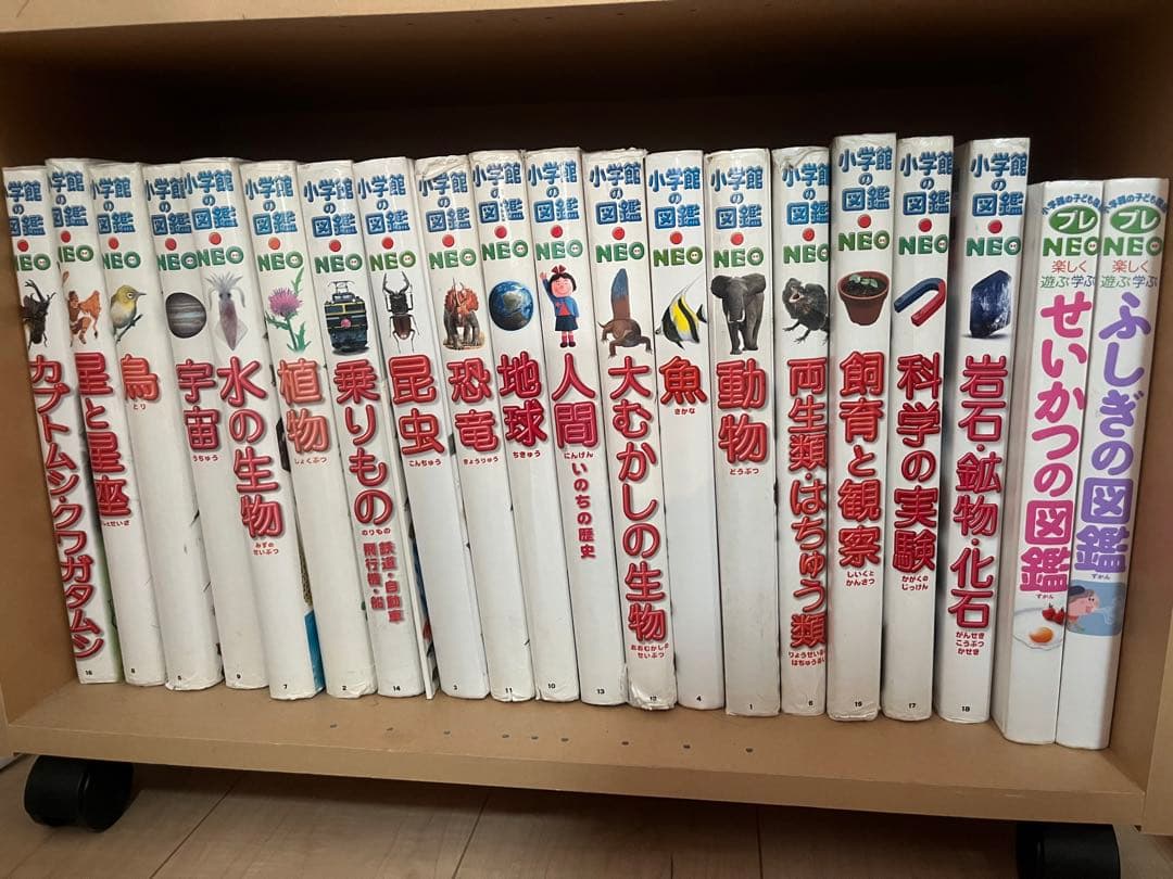 小学館　図鑑NEO まとめ売り　20冊