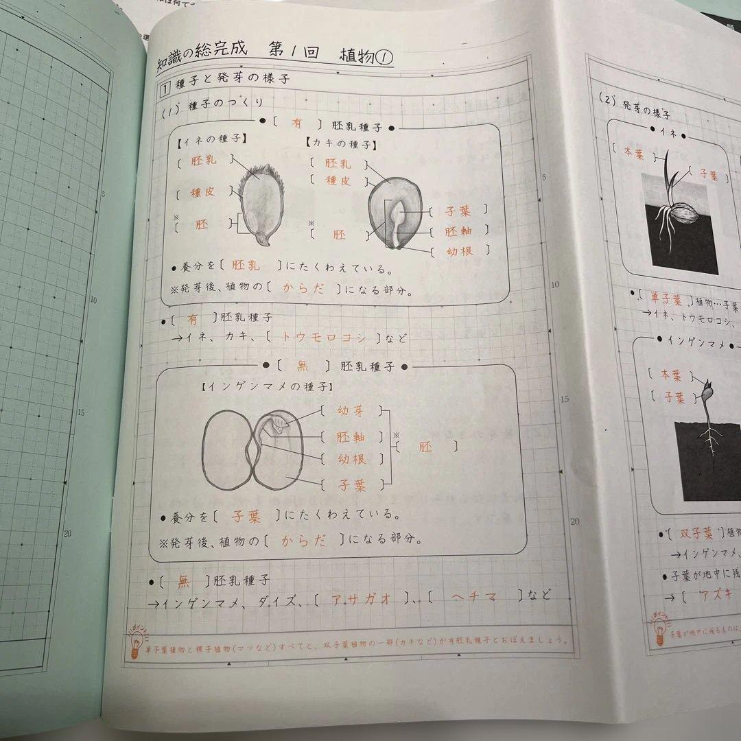 Weekly SapiX 理科 小6 夏期集中　時事演習　2024年