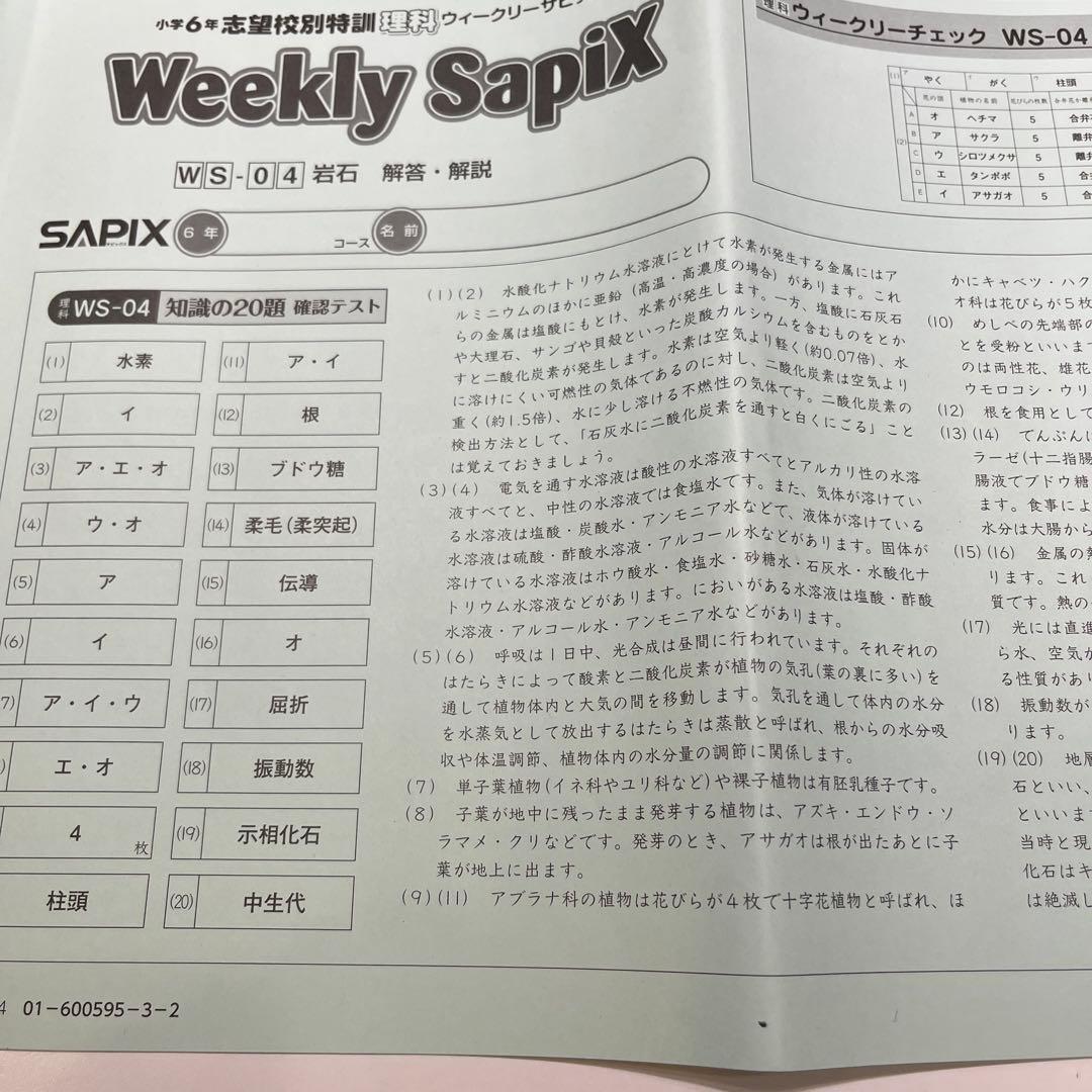 Weekly SapiX 理科 小6 夏期集中　時事演習　2024年