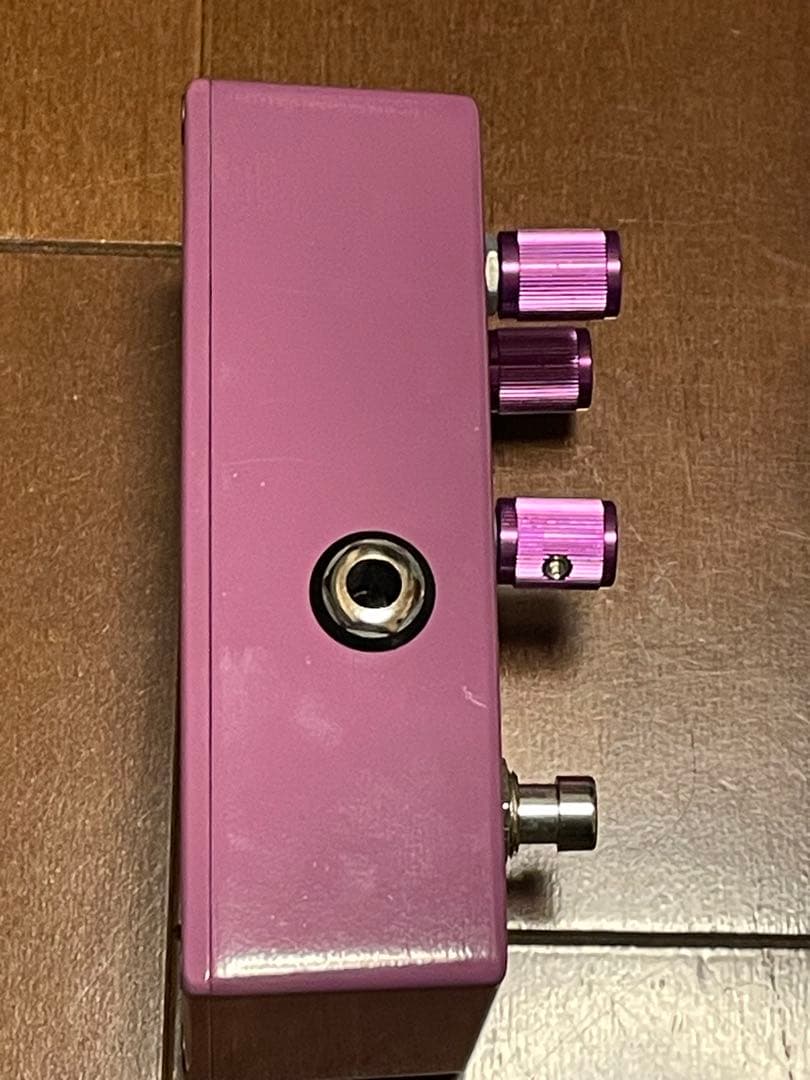 ギター Wren and Cuff Garbage Face Jr J mascis