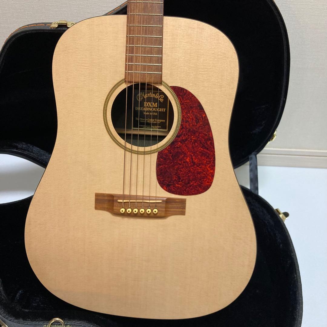 アコースティックギター Martin & Co. DXM Dreadnought