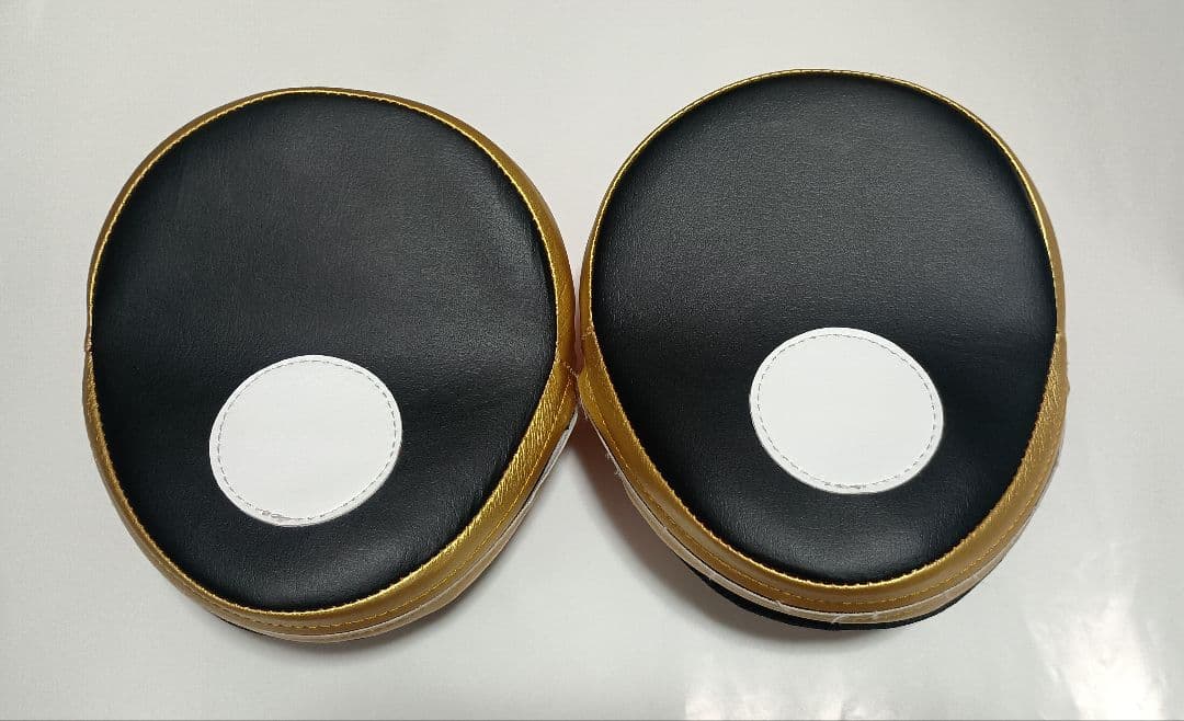 ISAMI コンビネーションミット　　　　　　　　　　　（パンチングミット）