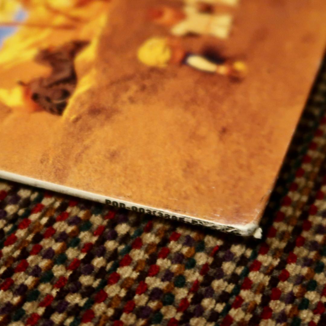 Hi-Standard / GROWING UP LP レコード 限定盤