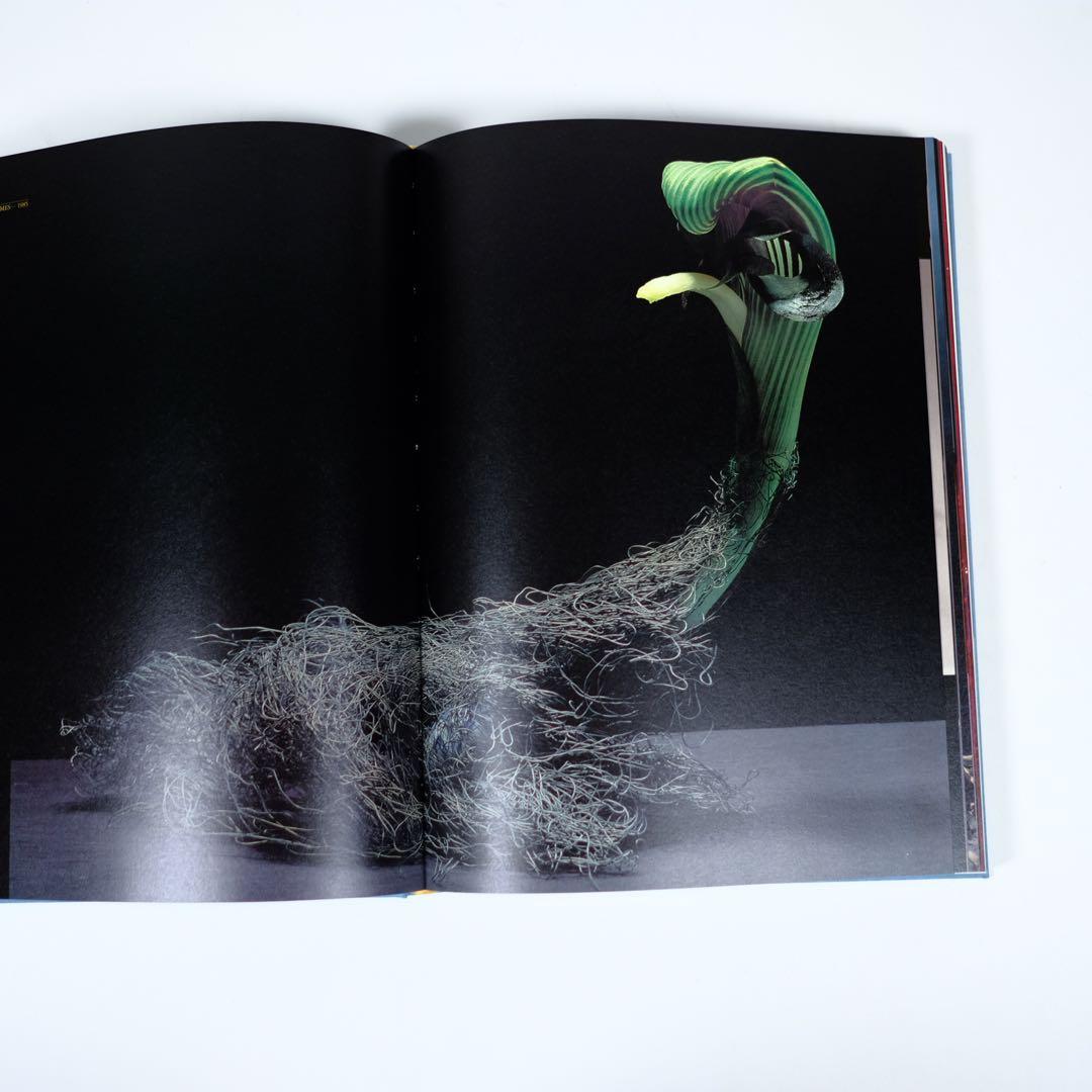 【魔の山】中川幸夫　作品集　求龍堂　写真集　花道　極希少本　稀覯本