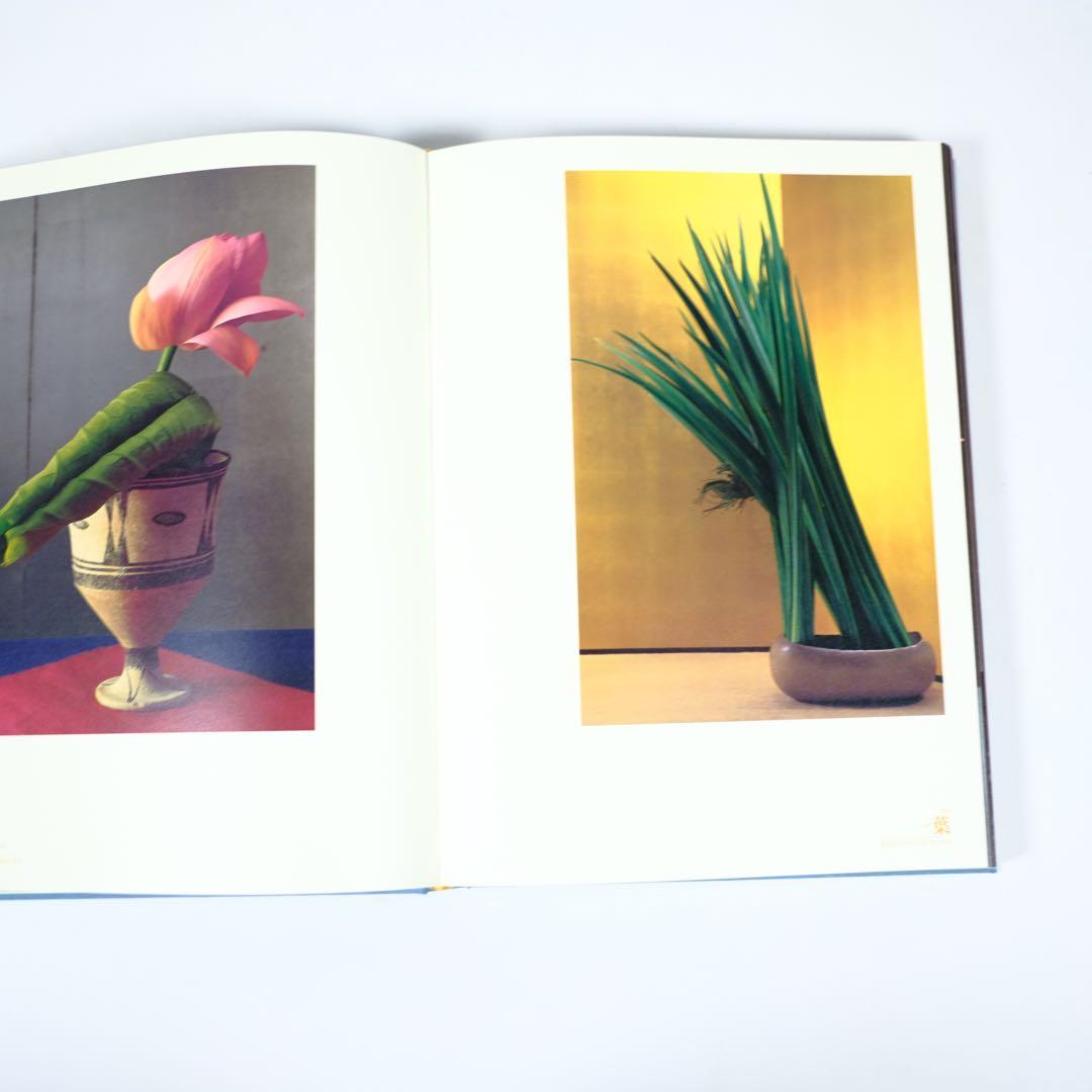 【魔の山】中川幸夫　作品集　求龍堂　写真集　花道　極希少本　稀覯本