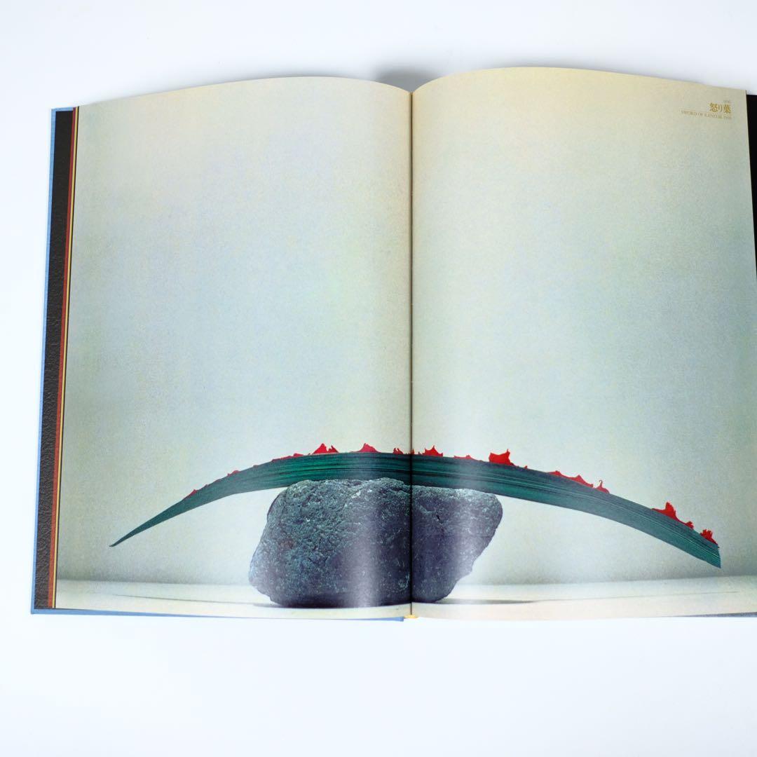 【魔の山】中川幸夫　作品集　求龍堂　写真集　花道　極希少本　稀覯本