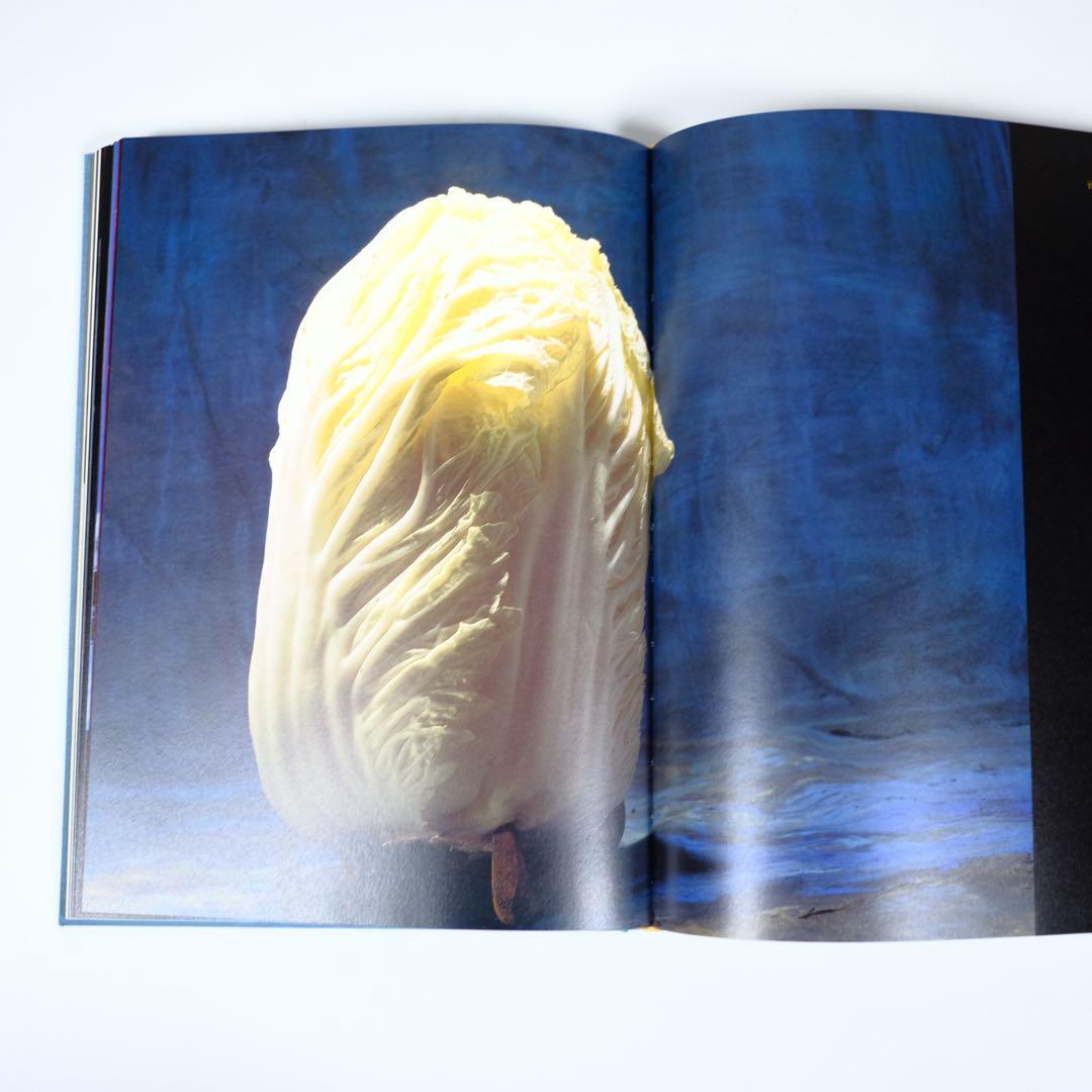 【魔の山】中川幸夫　作品集　求龍堂　写真集　花道　極希少本　稀覯本