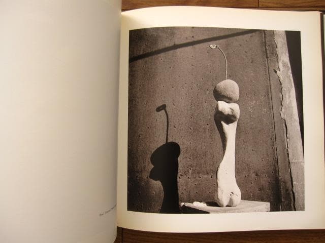 アート・デザイン・音楽 Joachim Gomis : Fotografo