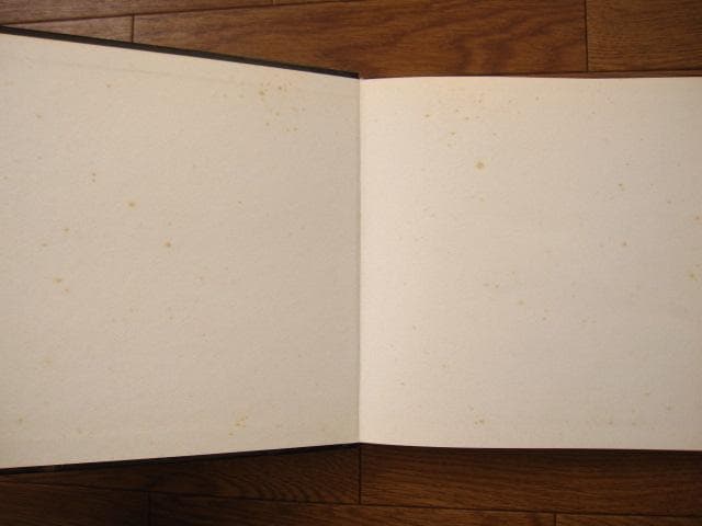 アート・デザイン・音楽 Joachim Gomis : Fotografo