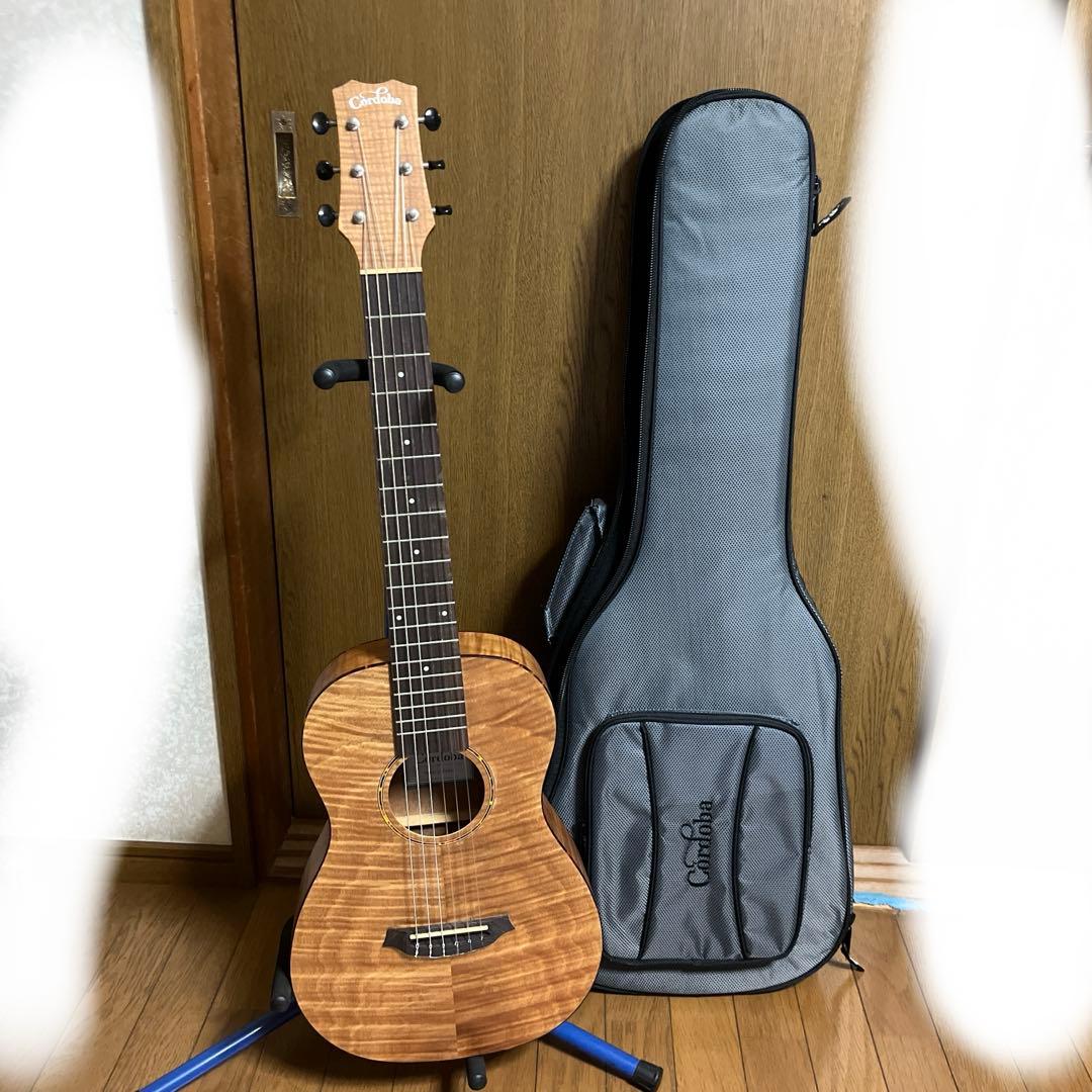 ギター Cordoba Mini ll FMH