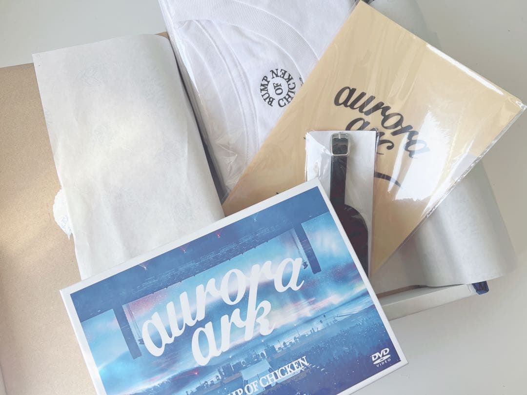 auroraark 初回限定 DVD