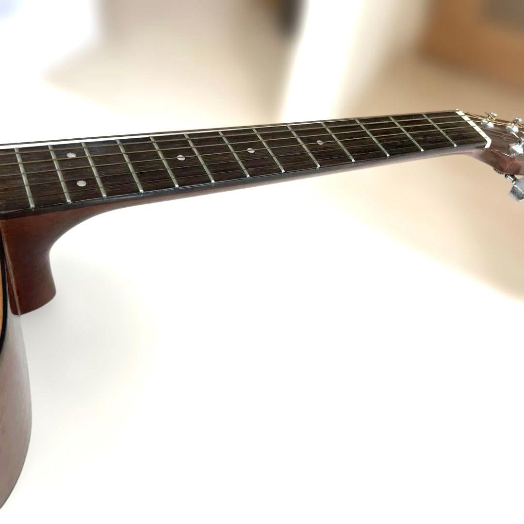 ギター anthony viernes Dedicated