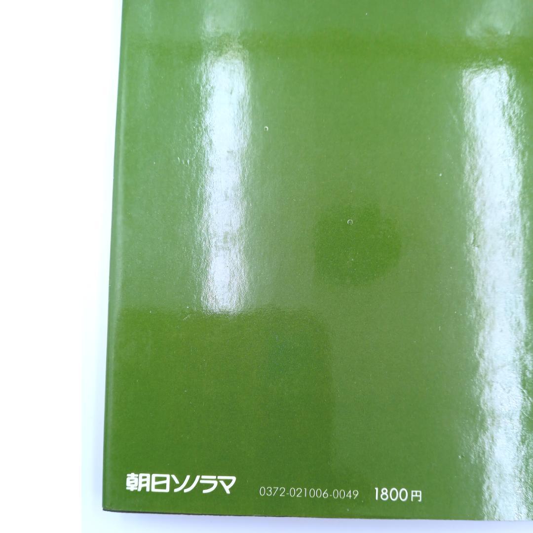 【希少】朝日　ソノラマ写真選書　森山大道　続にっぽん劇場 写真帖　美品