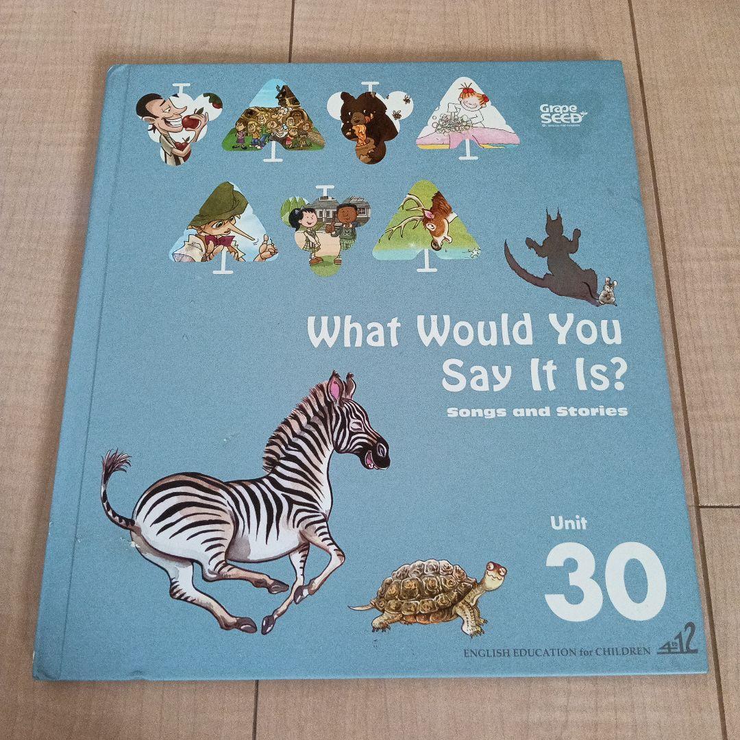 英語教材　グレーブシード　unit30