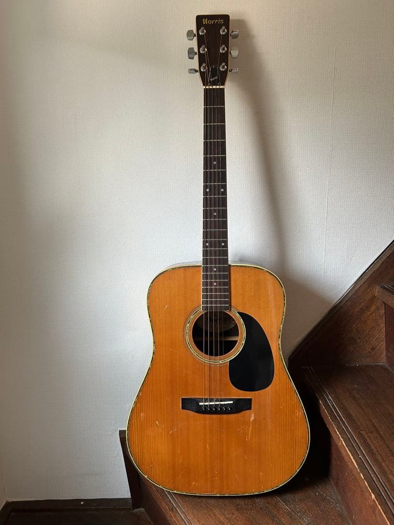 Morris　ギター　本体のみ W-25