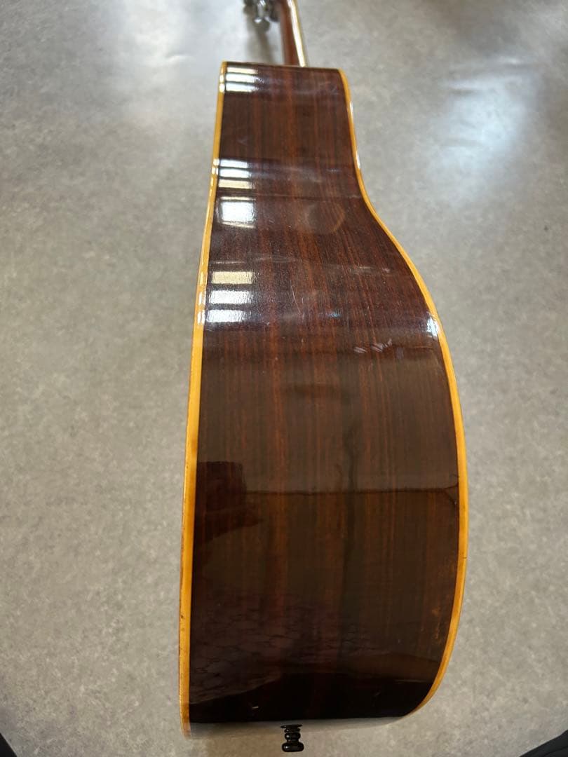 Morris　ギター　本体のみ W-25