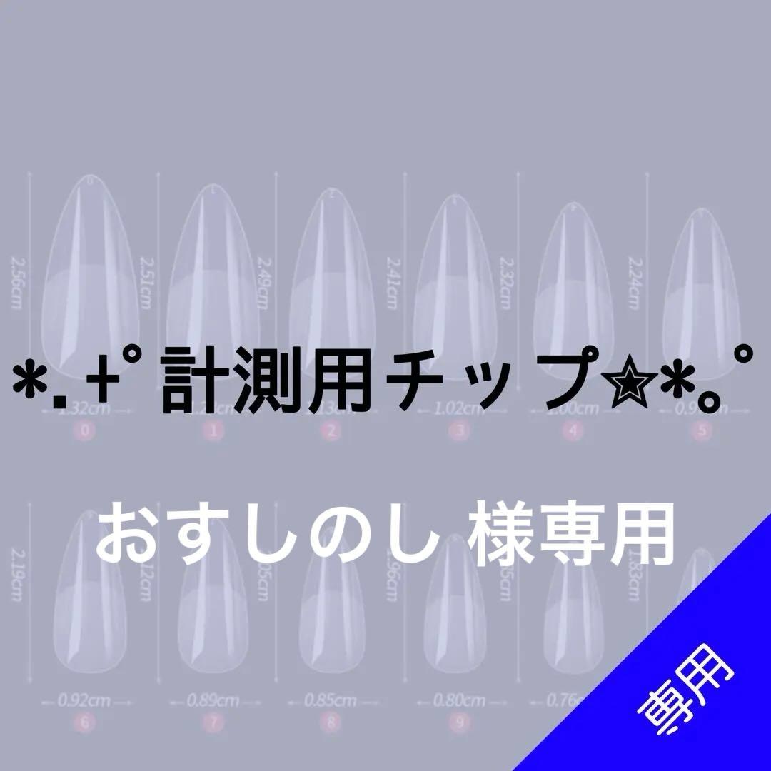 ✦⋆【おすしのし 】⋆ ✦計測用ネイルチップ