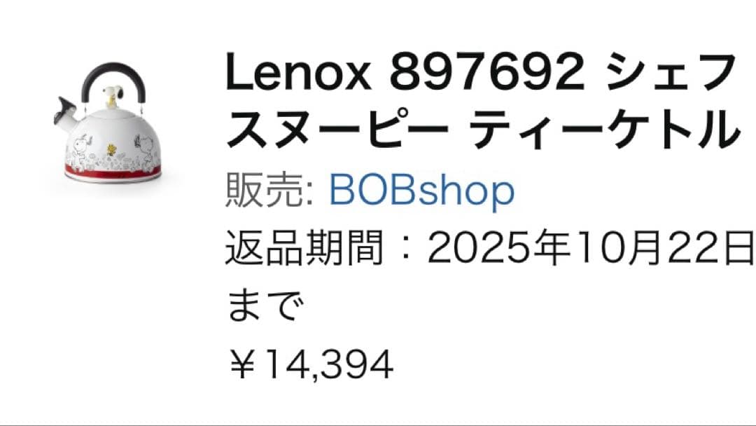 スヌーピー❣️ケトル